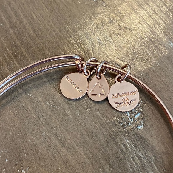 ALEX AND ANI CHEERS ROSE GOLD BANGLE BRACELET - Picture 3 of 3